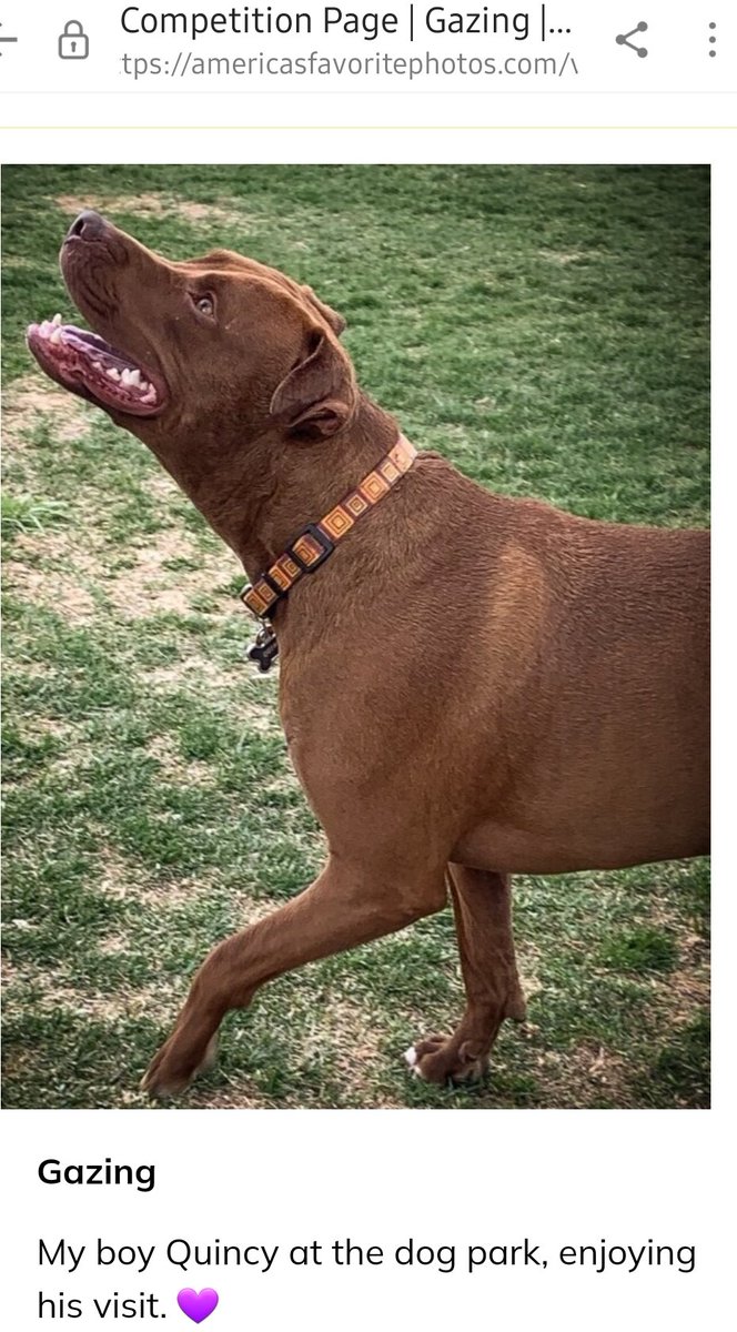 PenNotSword's tweet image. Please vote for my photo in the America’s Favorite Photos competition: americasfavoritephotos.com/v/9mkwfq