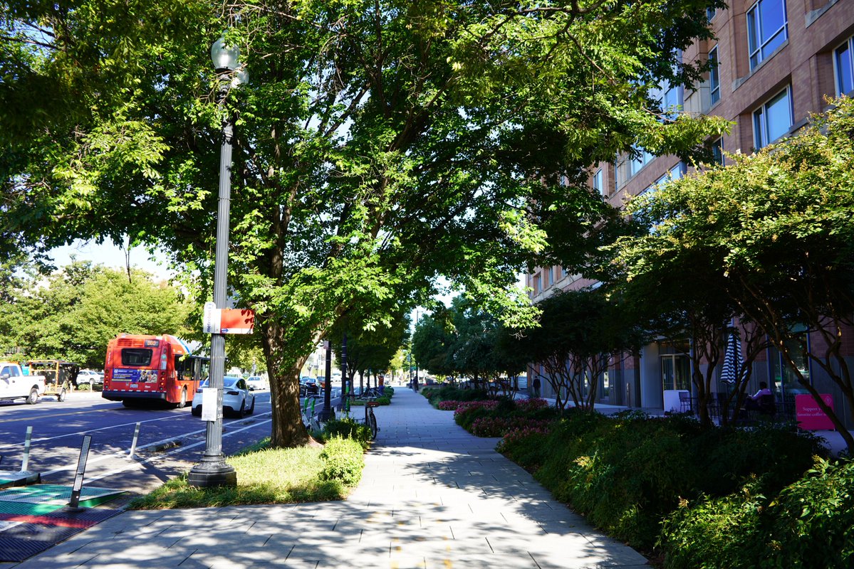 MayorBowser's tweet image. We&apos;re proud to live in a clean, beautiful city.

We hear it from visitors all the time—they notice how clean and well-maintained our streets are.

We&apos;re grateful to our DC Gov teams for keeping it that way.