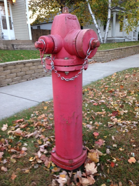 CityFoleyMN's tweet image. Public Works will be flushing the city water system this fall as part of routine maintenance of the water system. If you encounter discolored water during this period, you can run the cold, unsoftened tap for a few minutes to clear it up. 💦🛻🍂#FoleyMN