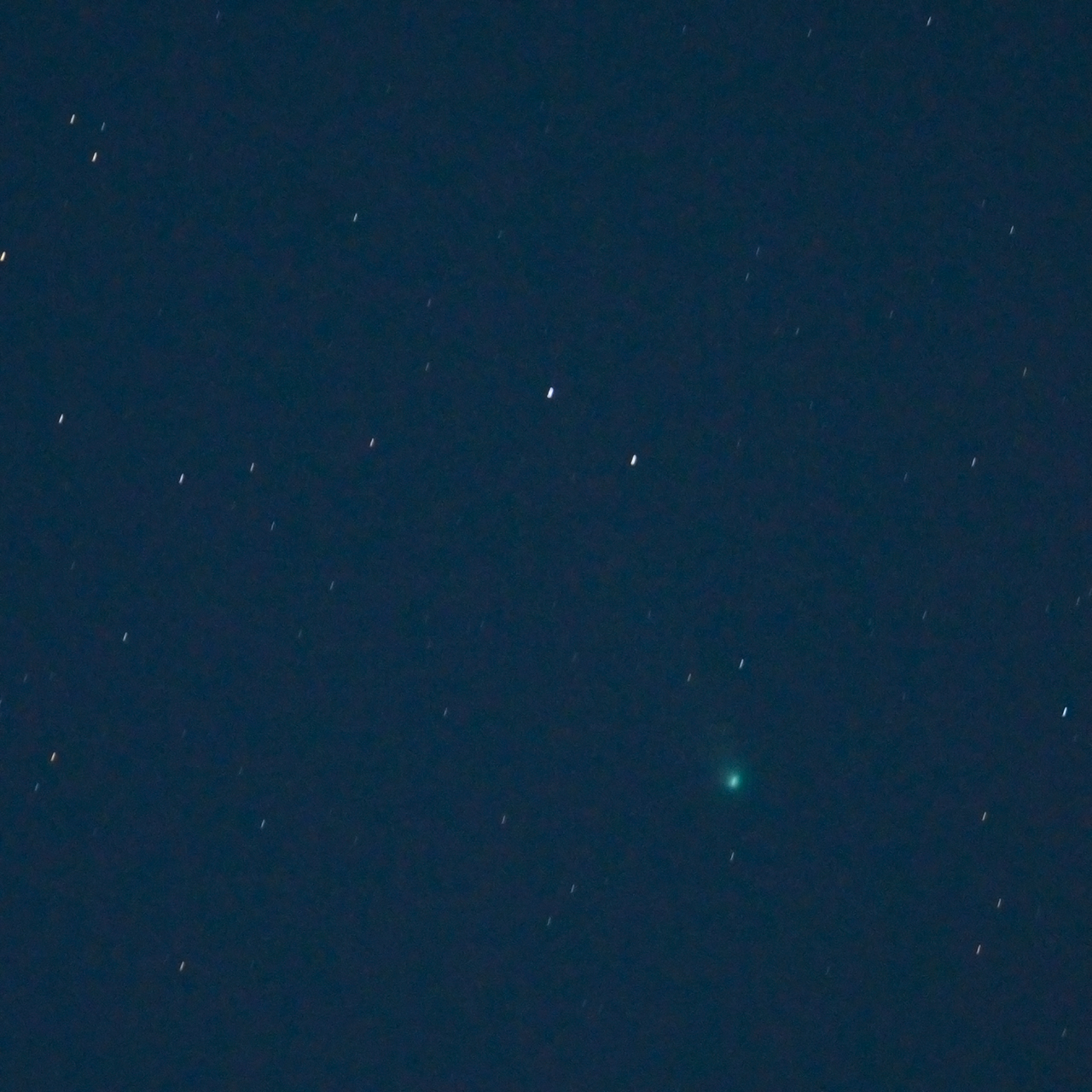 【PSA10】かぷっとNight☆Sky 夜空メル SSP 管理番号 a74 PSA10】かぷっとNight☆Sky 夜空メル SSP 管理番号 a74 PSA10】か