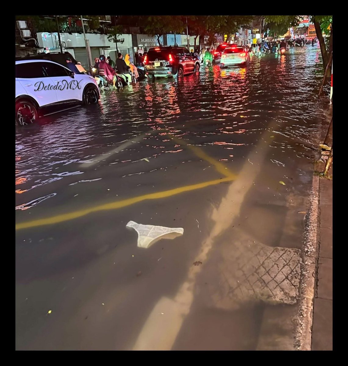 la_go_mess's tweet photo. Ha llovido tanto que los mantarrayas han vuelto a las calles. https://t.co/pl0Vnh8tNf