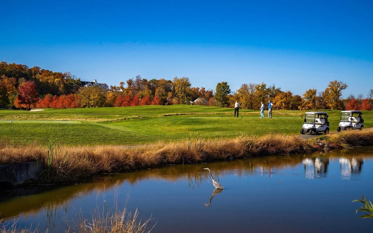 TrumpGolfDC's tweet image. A glorious fall day at @TrumpGolfDC 🍂⛳
Brilliant blue skies, crip air, and a perfect afternoon on the course — the kind of day that captures the true beauty of the season. From the golden treetops to the calm reflection on the water, fall golf doesn’t get better than this.
