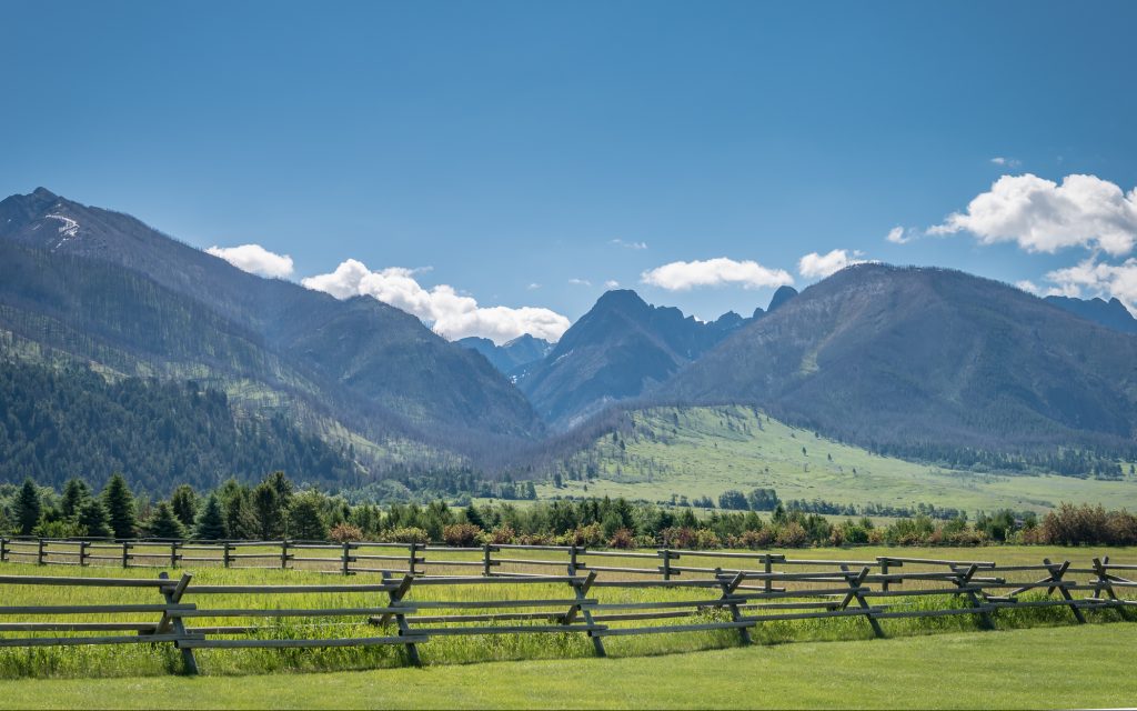 MSUBobcats's tweet image. In just over 24 hours, the Blue and Gold Gala will begin raising money for our student-athlete scholarships. 

Our most exciting auction items will be bid on live during the Gala. This includes a Wine Package, Traeger Grill Package, Absaroka Moon Retreat, or Lone Mountain…