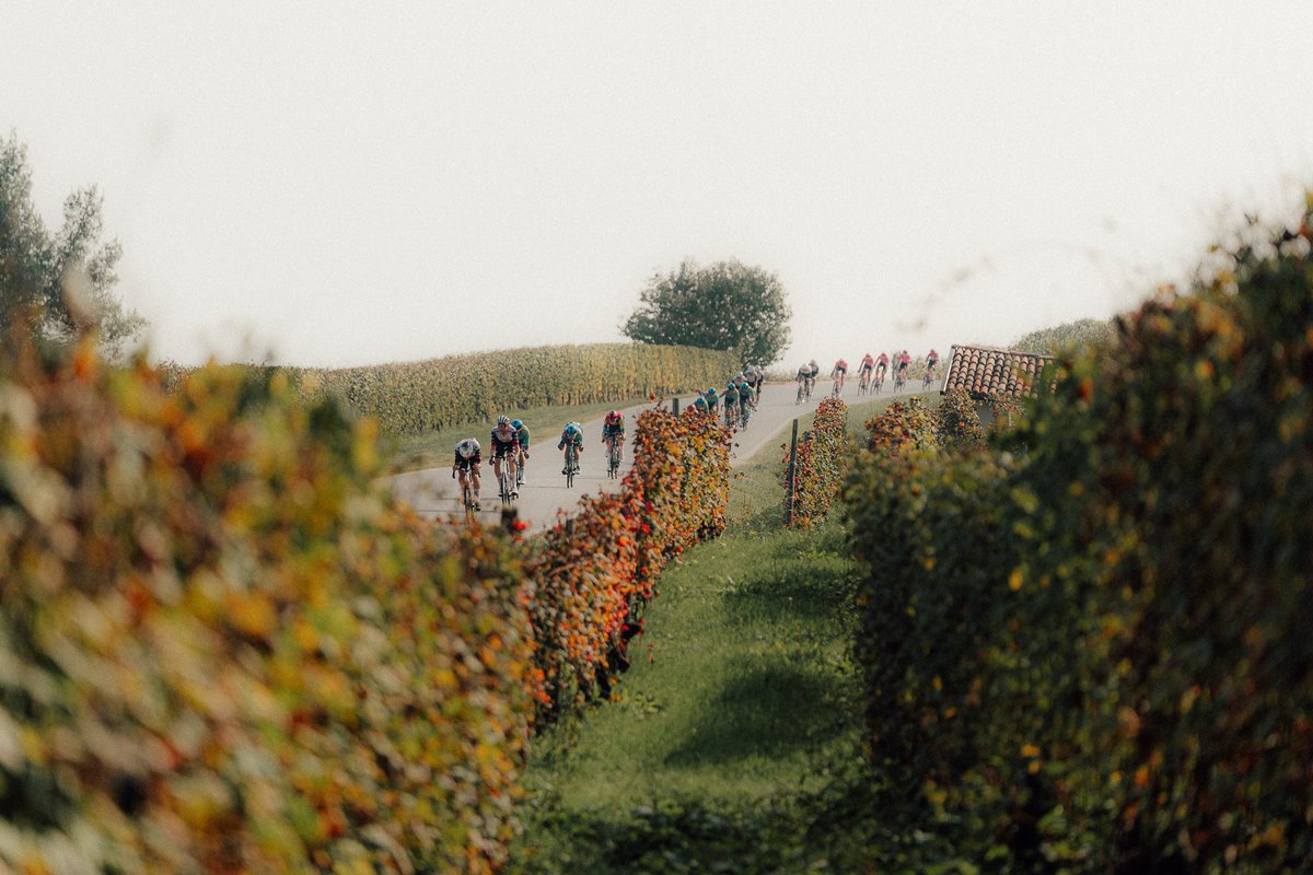 GranPiemonte tweet media