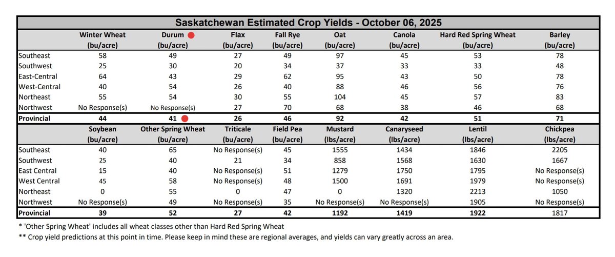 Spiga Dorata tweet media