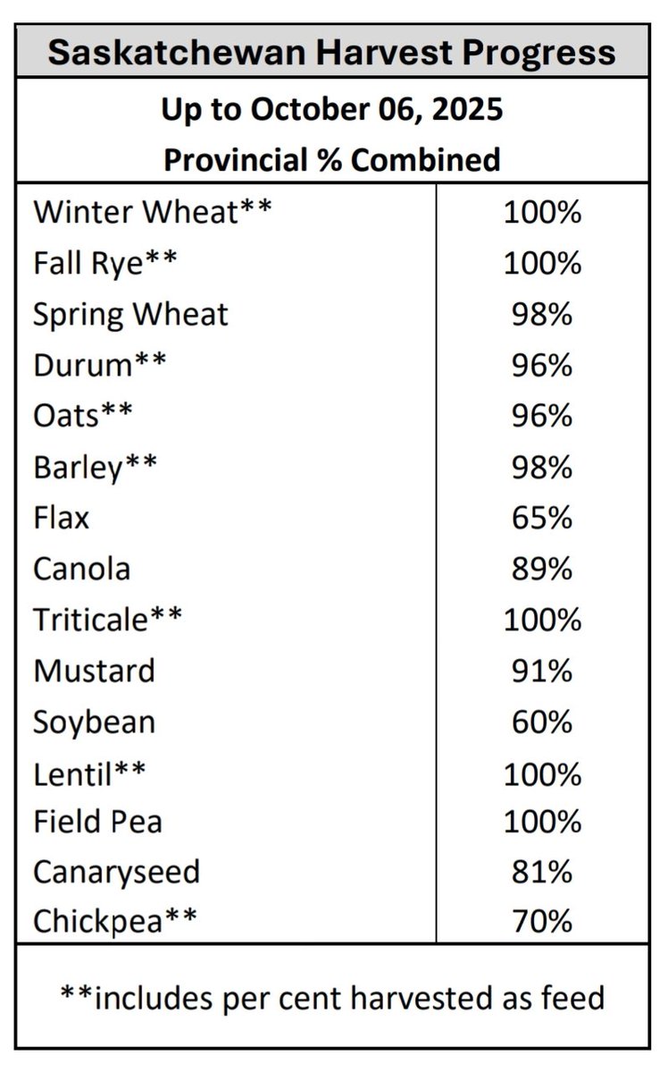 Spiga Dorata tweet media