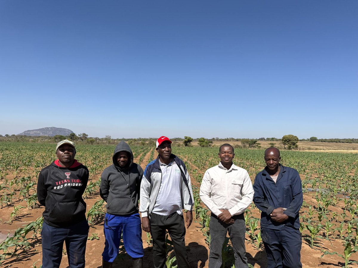 This is Mutare, Manicaland Province

My philosophy? 

Grow. Step by step. I'm a different farmer today than I was yesterday. So grateful to be surrounded by a community that shares this belief. Our collective growth in these fields translates directly to food security on every