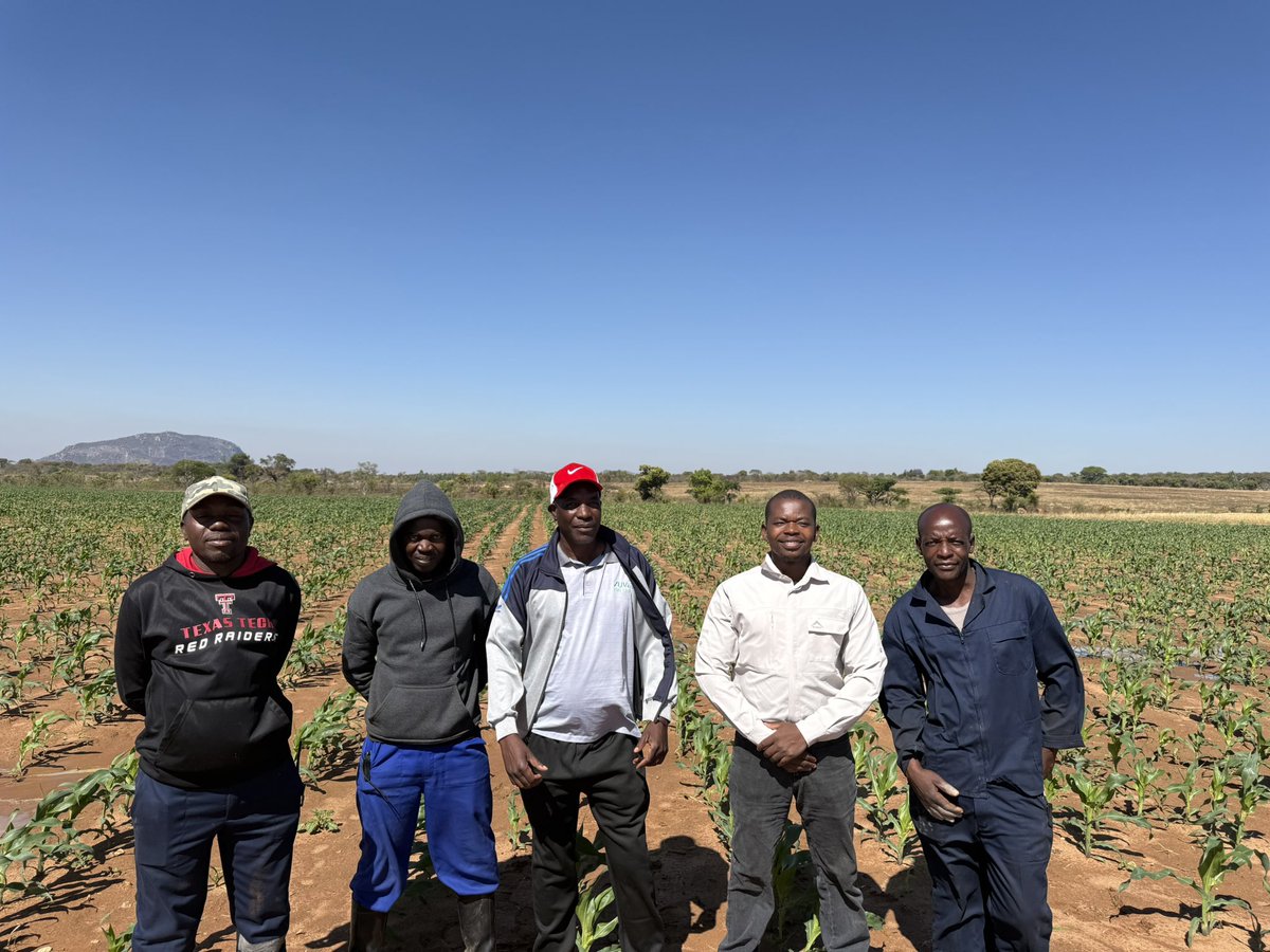 Dior Pote tweet media