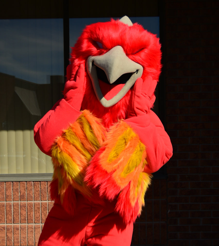 St. Alphonsa Catholic Elementary School tweet media