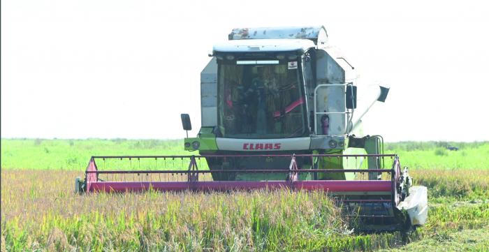 🇨🇺| <a href="/DiazCanelB/">Miguel Díaz-Canel Bermúdez</a> visited municipalities in the provinces of Ciego de Ávila and Sancti Spíritus yesterday  #Cuba

👉🔗acortar.link/xwOjPU