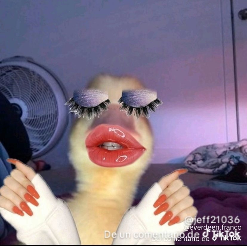 MrDiegoPerez11's tweet image. Oigan yo ya no le voy a tirar al Ex de Yerimua, ni a Martir ni a Dormimundo.
La casa ya se acabó y como no me interesa lo que hagan POS tampoco los voy a estar criticando como pa que?.
Solo veré lo que haga Dalilah, Abelito y tal vez Aldo.
#LaCasaDeLosFamososMx #LCDLFMx3