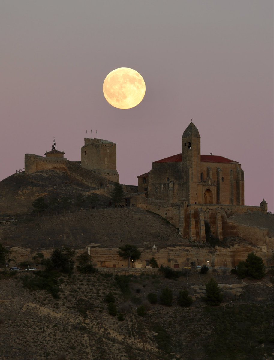 Bodega_Contador's tweet photo. Coincidiendo con la luna de la cosecha —harvest moon— finalizamos la vendimia 2025. En términos generales, esta cosecha se ha caracterizado por presentar una producción más reducida pero de gran concentración y calidad. https://t.co/DezgZxjw7q