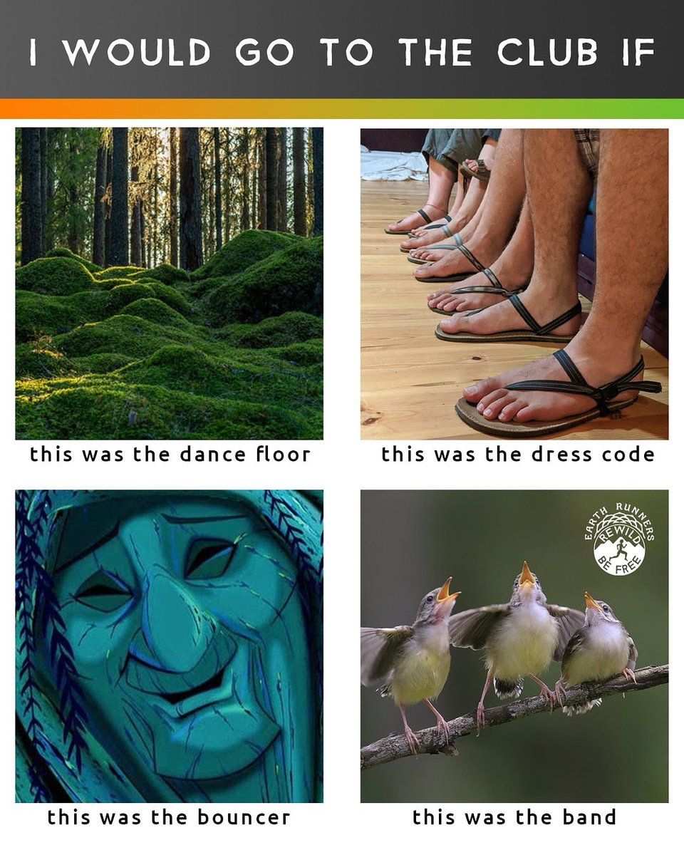 If the drinks are spring water and the playlist is birdsong + drum circle, I’m THERE. 🥁🌿