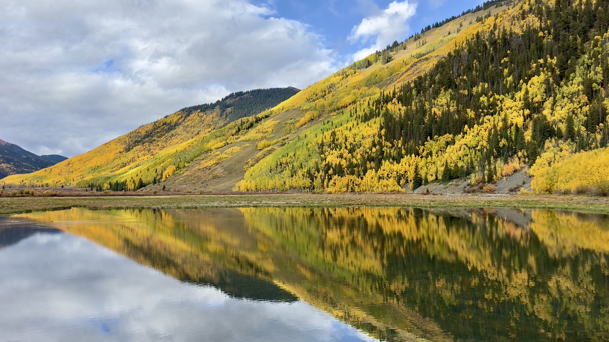 davidwattsjr's tweet image. Colorado Fall Colors