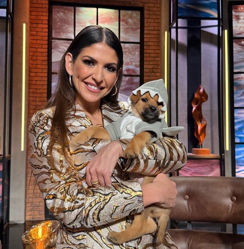 MaryjoRigglccn's tweet image. 