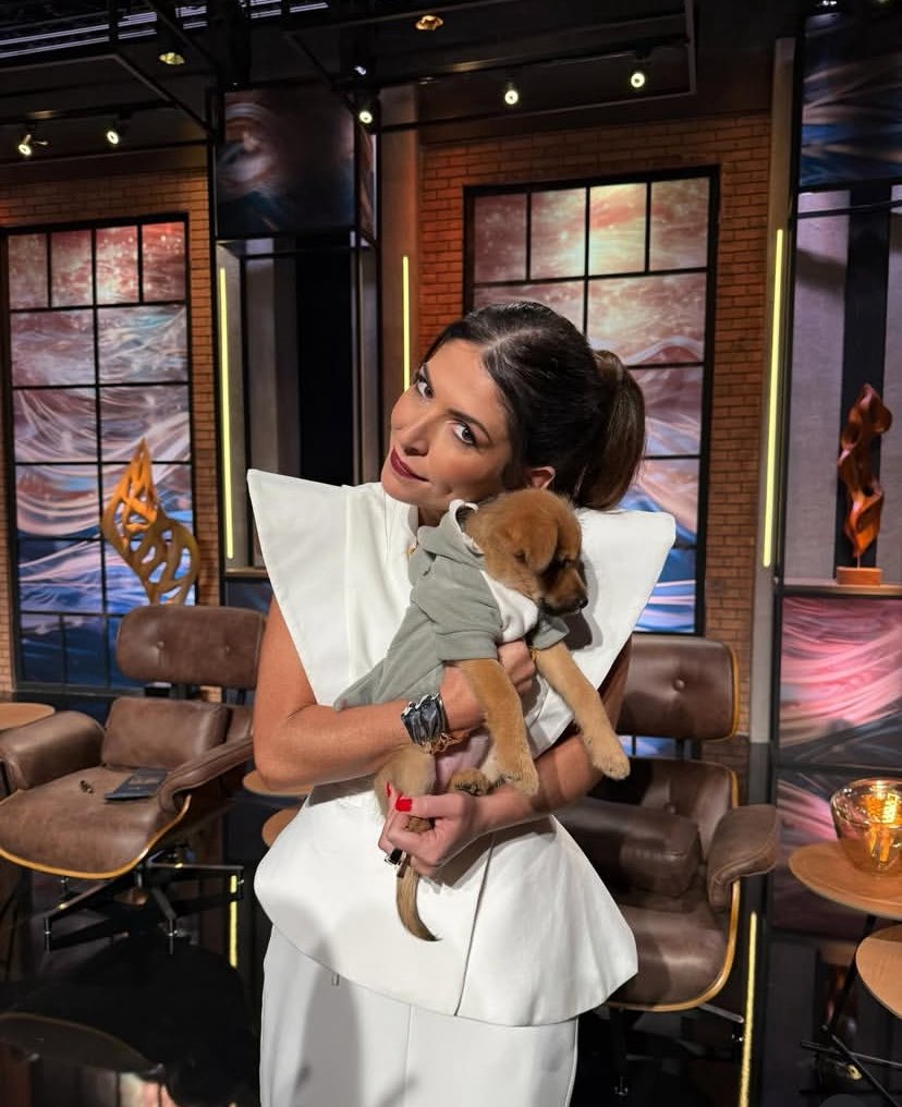 MaryjoRigglccn's tweet image. My lovely Dog Milo