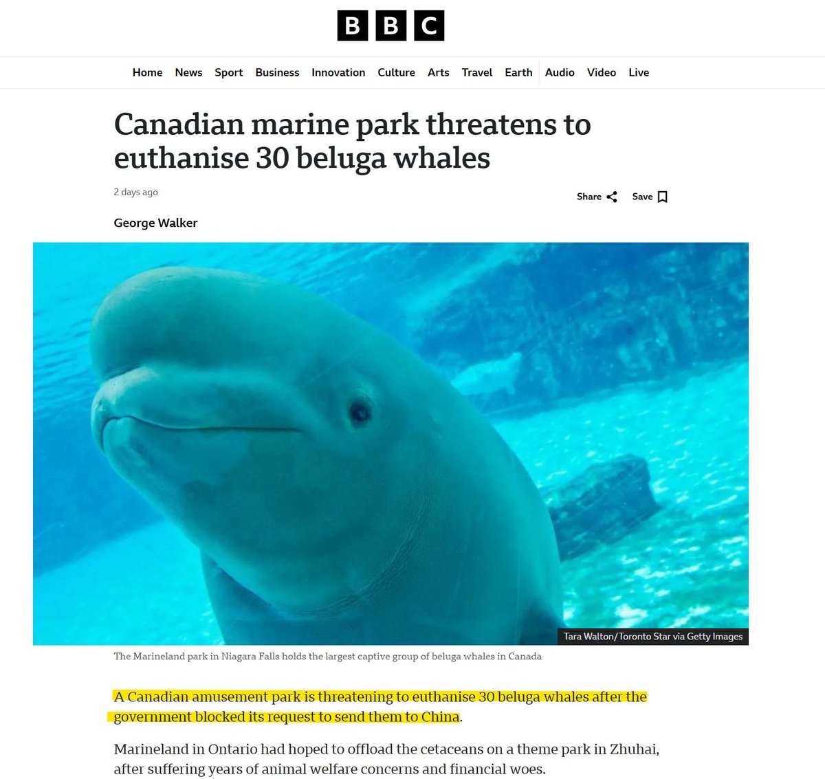 VerumReports's tweet photo. Canada is planning to euthanize 30 beluga whales after the marine park shuts down. The marine park tried to donate the whales to Chinese marine parks but the Canadian government blocked the move. https://t.co/nOkvauHq6z