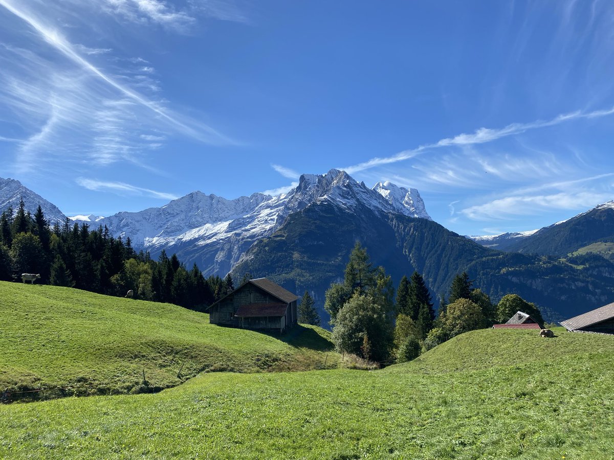 Looking for a tutored #writingretreat? I’m holding three in the Alps in 2026: in March, June and September. To learn more: valeriavescina.com/teaching/writi…  #writing #WritingCommunity #writingworkshop #writingholidays #writingcourse #writersretreat #writingadvice #writingtips