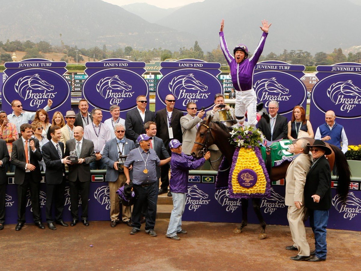 23 days till <a href="/BreedersCup/">Breeders' Cup</a> ! The best weekend of the year 🥳 I am so ready to reunite and enjoy Del Mar once again with my favorite humans 🤗🥳 #breederscup2025 #HorseRacing #sports