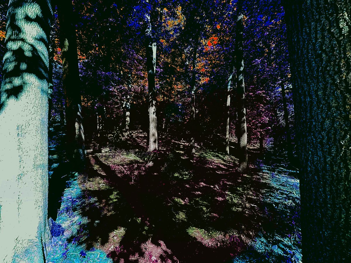 The eerier, earthier side of nature.
