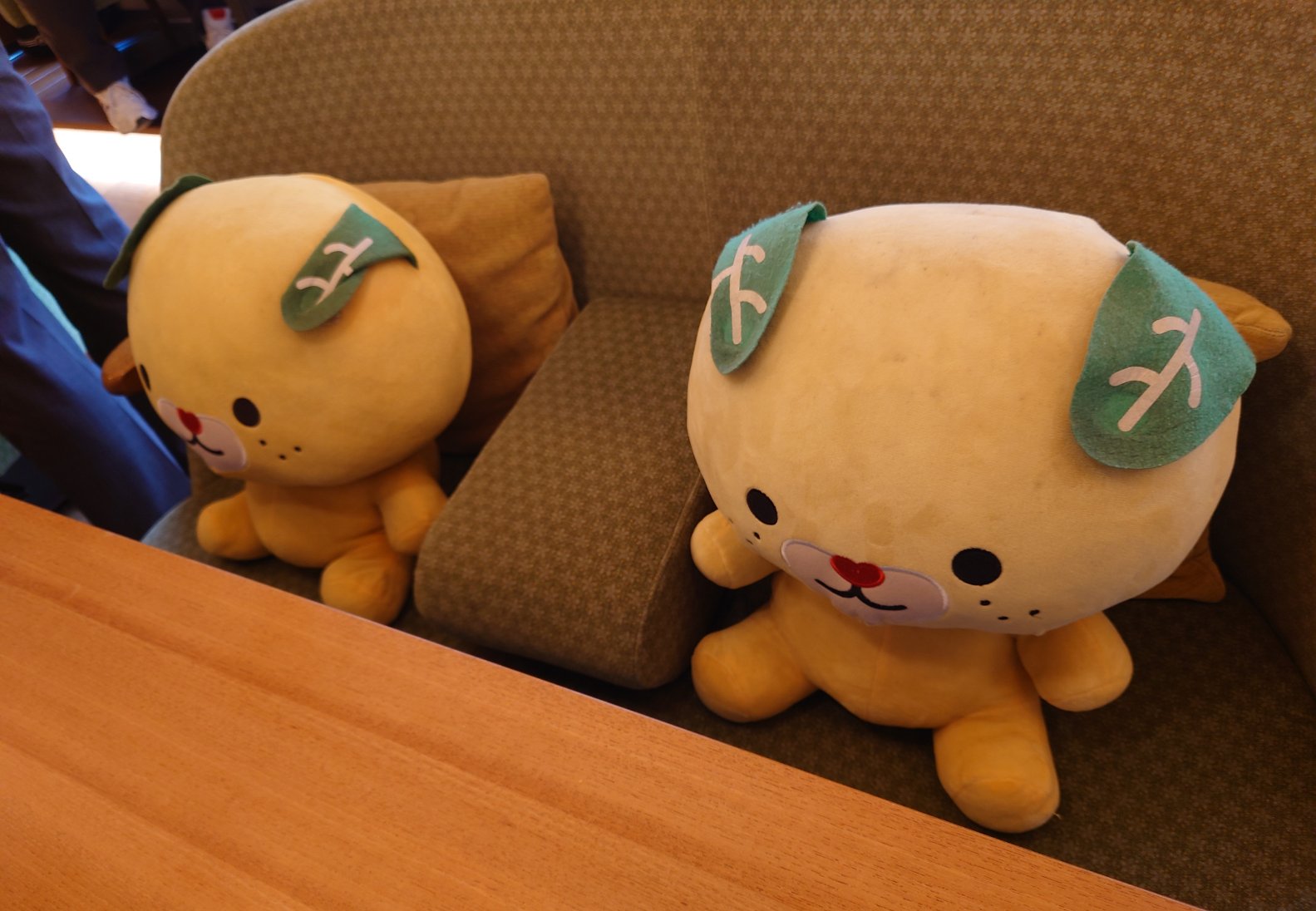 みきゃん みきゃん【公式】《愛媛県イメージアップキャラクター