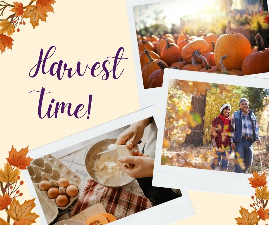 Share your favorite fall memory in the comments below! Did you love picking out the perfect pumpkin, taking a trip to see fall foliage, or  baking a family recipe? We'd love to read your stories!
#HarvestTime #FallMemories #AutumnHarvest #RobsonLiving