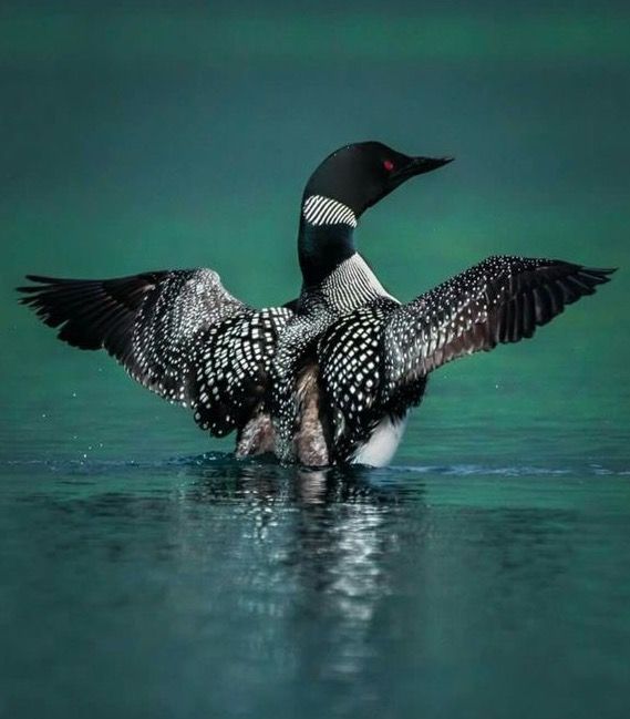 #DinastíaMilenials 
#StartsFollow
<a href="/Lea_Dhai/">🦉𝘗𝘳𝘪𝘯𝘤𝘦𝘴𝘴 𝘓𝘦𝘢𝘩🎖𝟭𝟲𝟬𝗞🌞</a>
<a href="/florchicana/">Selene  🖤Perfectly imperfect 🖤❌DM❌</a>
<a href="/Charlizefanart/">Charlize Theron Fanart</a>
<a href="/nuvisionquestt3/">🦅NU_VISION_QUEST_TYPE3🏹</a>
<a href="/Mrk4786/"> 𝐌𝐨𝐧𝐮(◕‿-)✌</a>
<a href="/V13lula/">Karen Lúcia♀️🚩🌵</a>
<a href="/MarcelaErcia/">🕉MARCE🐉⚖ #MarceTeAyuda🔮#JesúsCambióMiVida✝</a>
<a href="/MoolJangid/">Mool Chand Jangid</a>
<a href="/Dzarop/">Samuel</a>
<a href="/1majid15/">النسر</a>
<a href="/Charlizefanart/">Charlize Theron Fanart</a>
<a href="/EvilDoma/">𝐿𝑖𝑛𝑑𝑠𝑎𝑦=that tiny human</a>
<a href="/dqlyfy1sa/">👑ناري اليافي ✨ 🍂 💯fb</a>
<a href="/FelicPalma/">Felic Palma</a>
<a href="/dreams_Bcn/">૮૨iઽƬiทα  #MᥲɾᥴᥱTᥱAყᥙᑯᥲ🔮</a>
<a href="/maririnmasahiro/">AIと歩く、まさちゃんの寄り道散歩</a>
<a href="/ranasilvia63/">Luna OM</a>
<a href="/yelarvel/">*♋️Hecate♋️💞🌻🌷🌹💞</a>
<a href="/PetalsStyle/">Pétala⛔️NO GRUP⛔️</a>
<a href="/nbea_h/">#𝕾𝖚𝖕𝖊𝖗𝕱𝖗𝖎𝖊𝖓𝖉𝖘 #𝕿𝖔𝖕𝕱𝖗𝖎𝖊𝖓𝖉𝖘</a>
<a href="/Elde/">範馬🇯🇵</a>