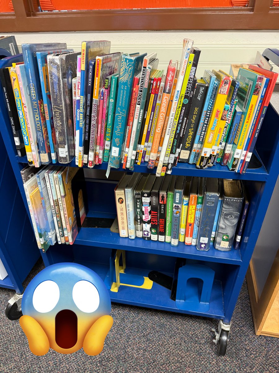 LibraryAHCES's tweet image. I would not be able to function without my CE volunteers🥹. No joke, this library ship is afloat because they truly have my back🫶🏼. We’re not missing a single beat because their service saves this librarian’s life🙃! #Grateful #AlamoHeightsCommunity #ShelvingBooks #LibraryLife📚