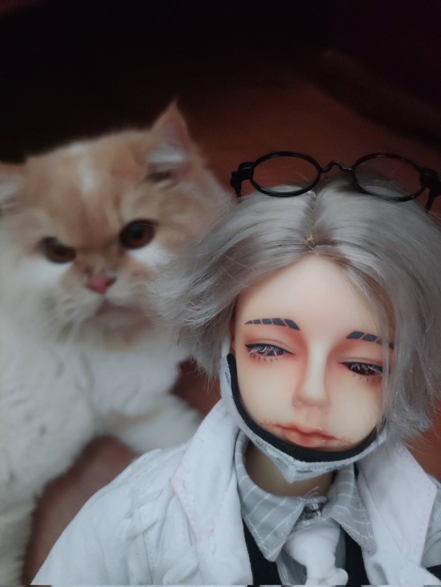 masamurasamurai's tweet image. #embalmer #aesop #aesopcarl   #identityv  #アイデンティティv #第五人格  #survivor  #Gatto #cat

I guess.... My cat jealous my BJD Aesop that he get gatto costume...