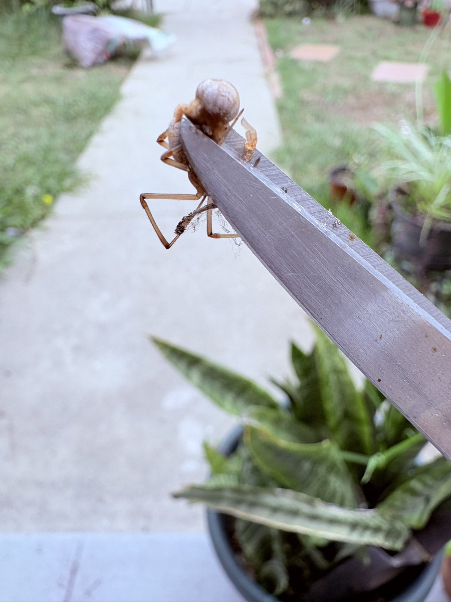 I’ve had enough of the bites. This is MY garden