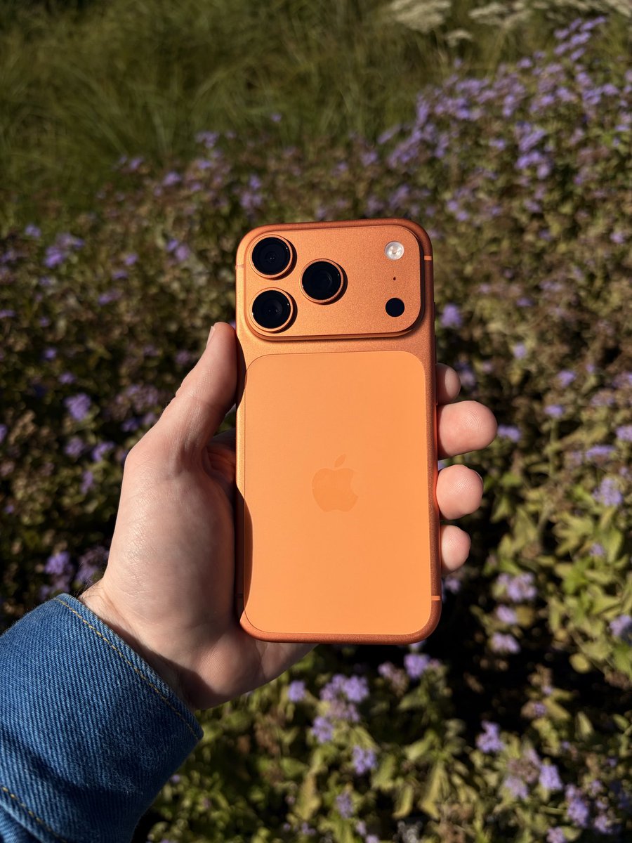 GregoryMcFadden's tweet image. Name a better phone color 🧡