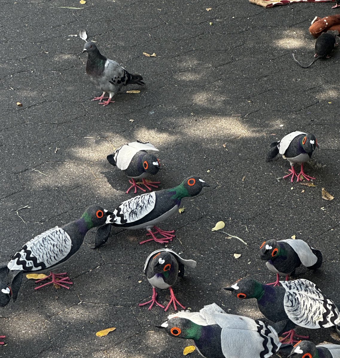 art imitates life imitates art imitates life imitates art imitates new york city pigeons