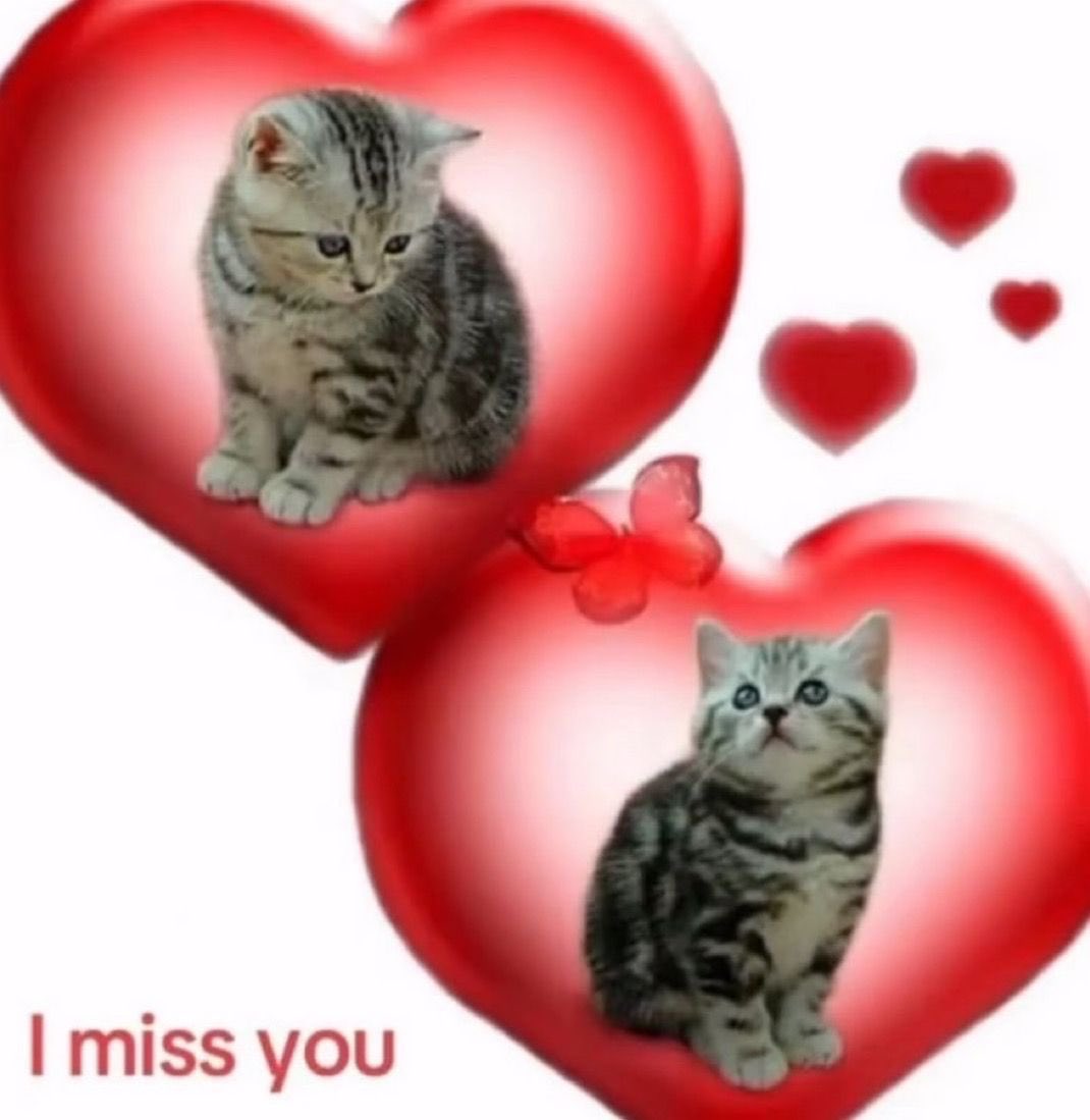 softheavens's tweet image. 