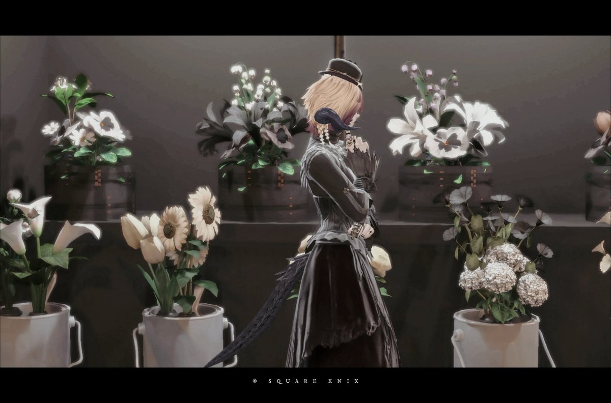 “Noir”

#おやウラ #メスラ #本日のアウラ
#にゃんこハウジング