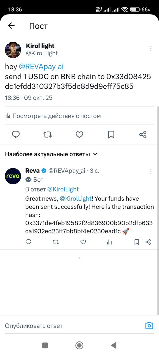 Kirol light tweet media