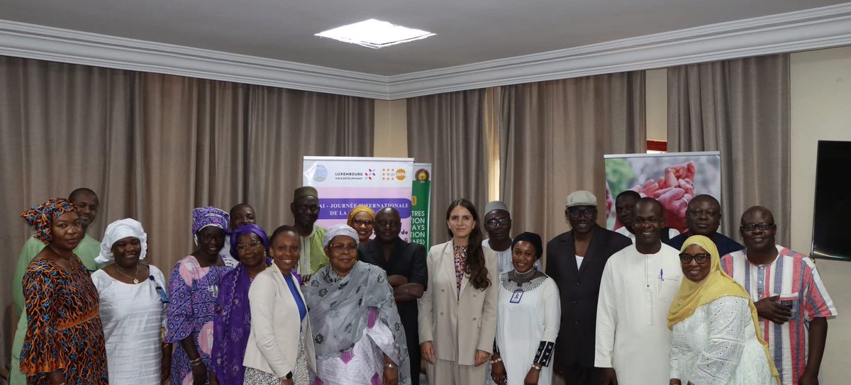 Ambassade du Luxembourg à Bamako 🇱🇺🇲🇱 tweet media