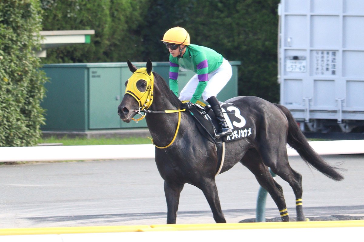 soiree1215's tweet image. 2025.10.5 東京10R 赤富士S
勝ち馬のオウギノカナメと菅原明良騎手
8番人気ながら積極的な競馬で4勝目👏
おめでとうございます🎊

#オウギノカナメ
#菅原明良
#キタサンブラック産駒