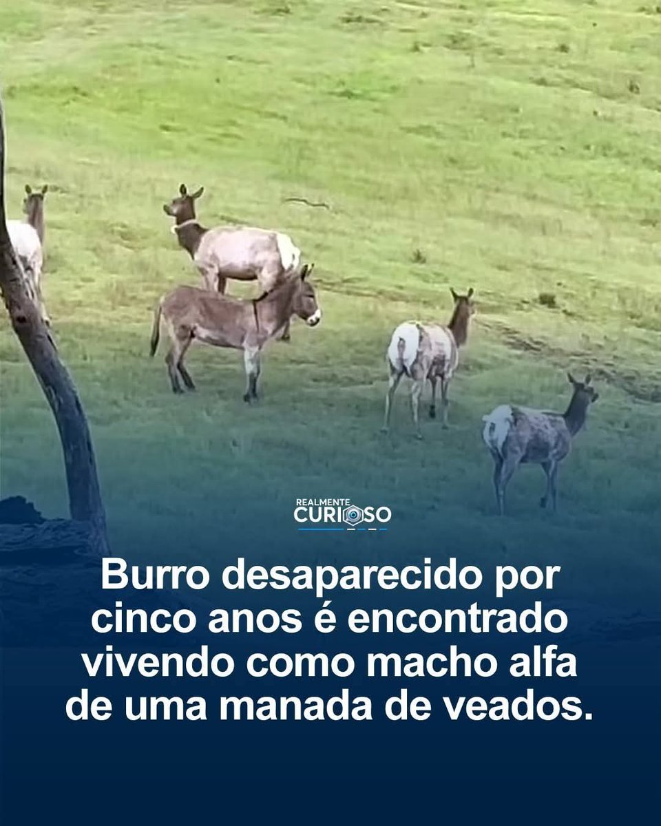?? KKKKKKKKKKKKK