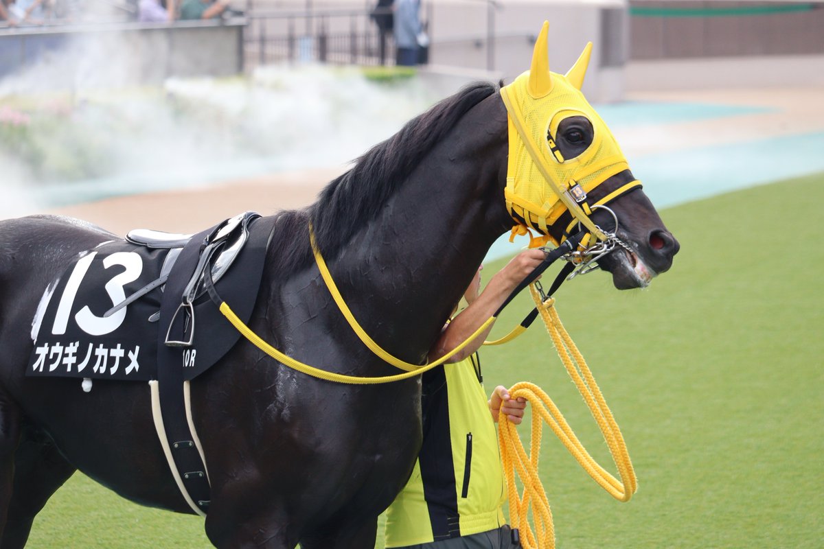 soiree1215's tweet image. 2025.10.5 東京10R 赤富士S
勝ち馬のオウギノカナメと菅原明良騎手
8番人気ながら積極的な競馬で4勝目👏
おめでとうございます🎊

#オウギノカナメ
#菅原明良
#キタサンブラック産駒