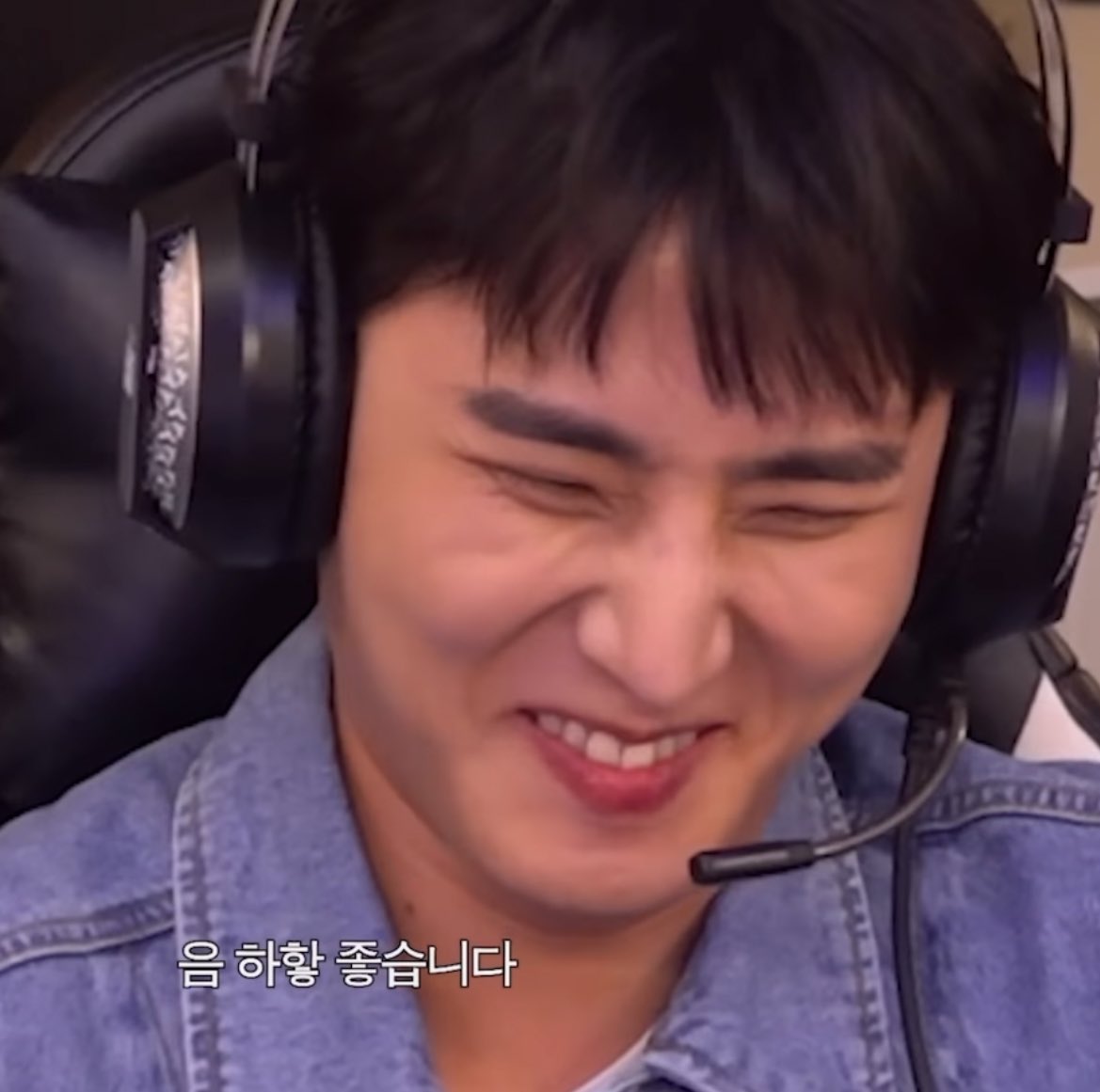 고양이 삐롱이 tweet media