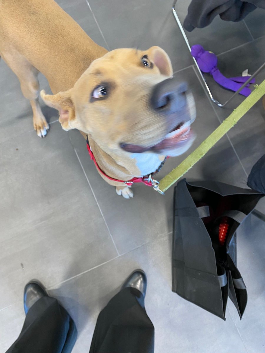 Mid-Hudson Subaru tweet media