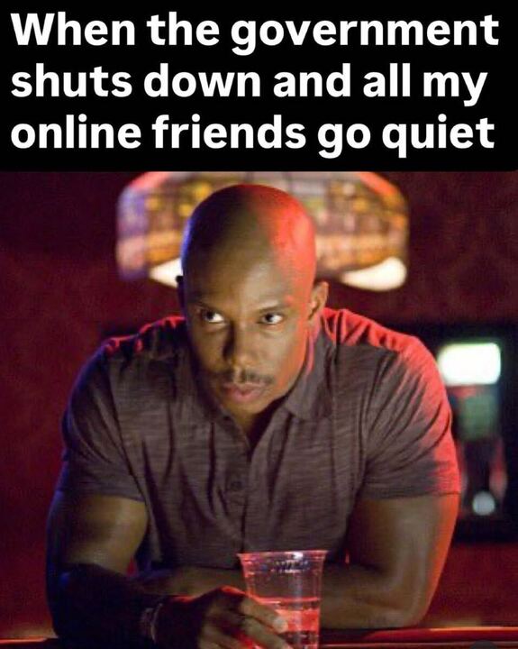 Not the Bee (@not_the_bee) on Twitter photo 