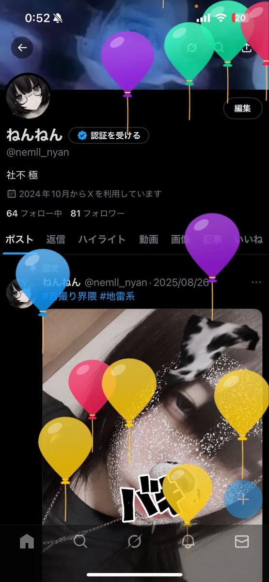 ねんねん (@nemll_nyan) on Twitter photo 