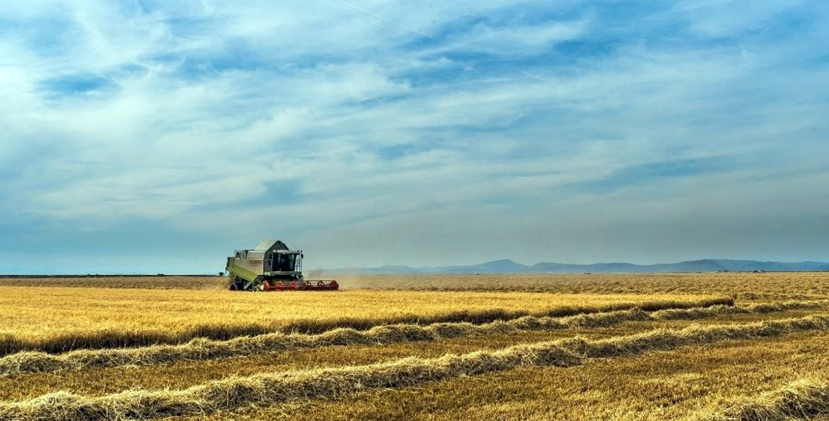 ℹ️ Paso decisivo del Parlamento Europeo para fortalecer al Campo y garantizar un etiquetado transparente y justo.

📰 asajamadrid.com/paso-decisivo-…

#Asaja