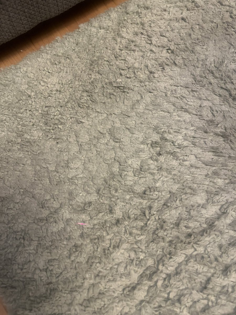 AstridAllegrah's tweet photo. @TheRangeUK I am very disappointed in this rug I bought from you. It’s less than 6 months old and cost around £60 and the pile has worn down in places. I don’t have the receipt, so can’t bring it back, but usually your goods are really good quality, just thought you should know! https://t.co/fEz4jXnWDg