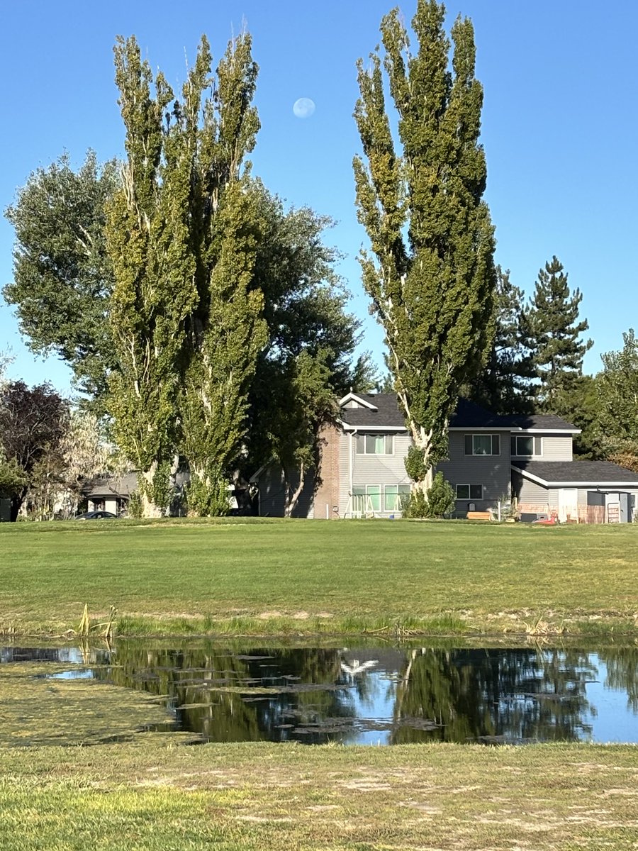 Another beautiful day to be a rules official. Utah high school 3A state championship <a href="/UtahSectionPGA/">Utah Section PGA</a> #stansburyparkgolf #golf #rulesofgolf