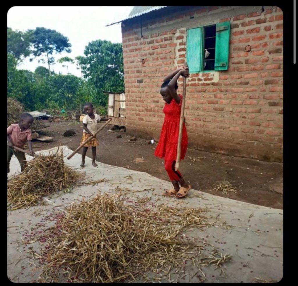 essawa_yoona's tweet image. Hey @EkiyanjaF  and @OMUGYERA_FC are you ready for what is coming this Sunday 🤗🤗🤗