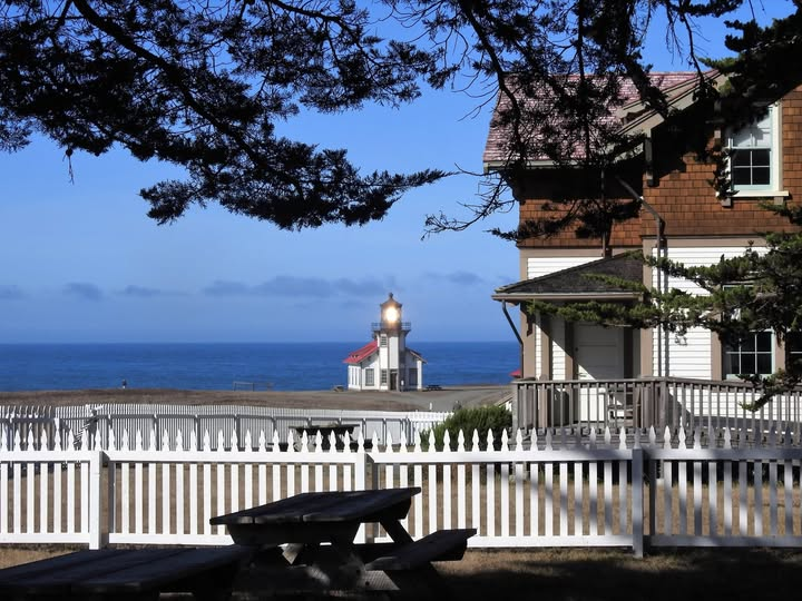 Photos and Creation/Evolution - Paul Ekdahl tweet media