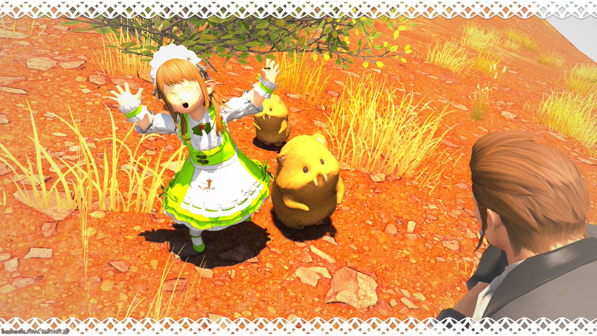 #おはララ

ｶﾞｳｶﾞｳ！
ｶﾞｳｶﾞｳｶﾞｳ！ｶﾞｳ！
ｶﾞｳｶﾞｶﾞｳｶﾞｳｶﾞｳ、ｶﾞｳｶﾞｳｶﾞｳ！✨