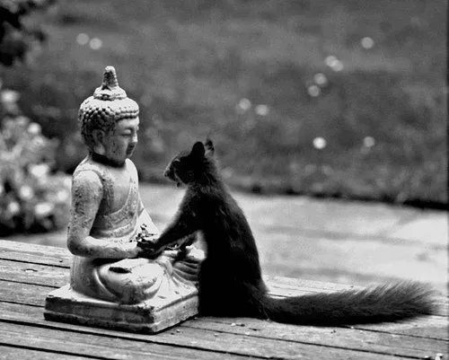 We have a new facebook group "Long Live Butsuzo" Come and share your story about Buddhist statues and make friends! This is not about me but about you! Without your participation this group will die.  Come chill with us!  buff.ly/3jWsLfY
#Buddhism #woodcarving